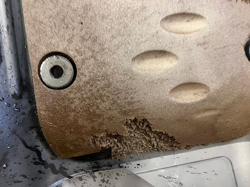 Professional Vehicle Rodent Infestation Cleanup