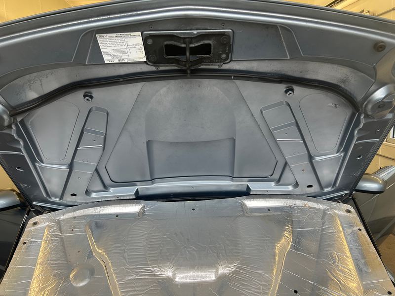 Professional Vehicle Rodent Infestation Cleanup