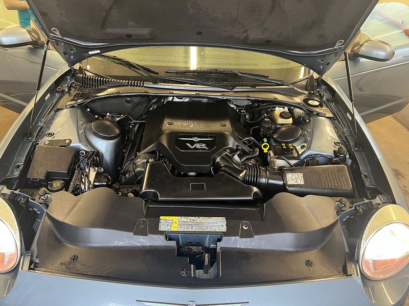 Professional Vehicle Rodent Infestation Cleanup