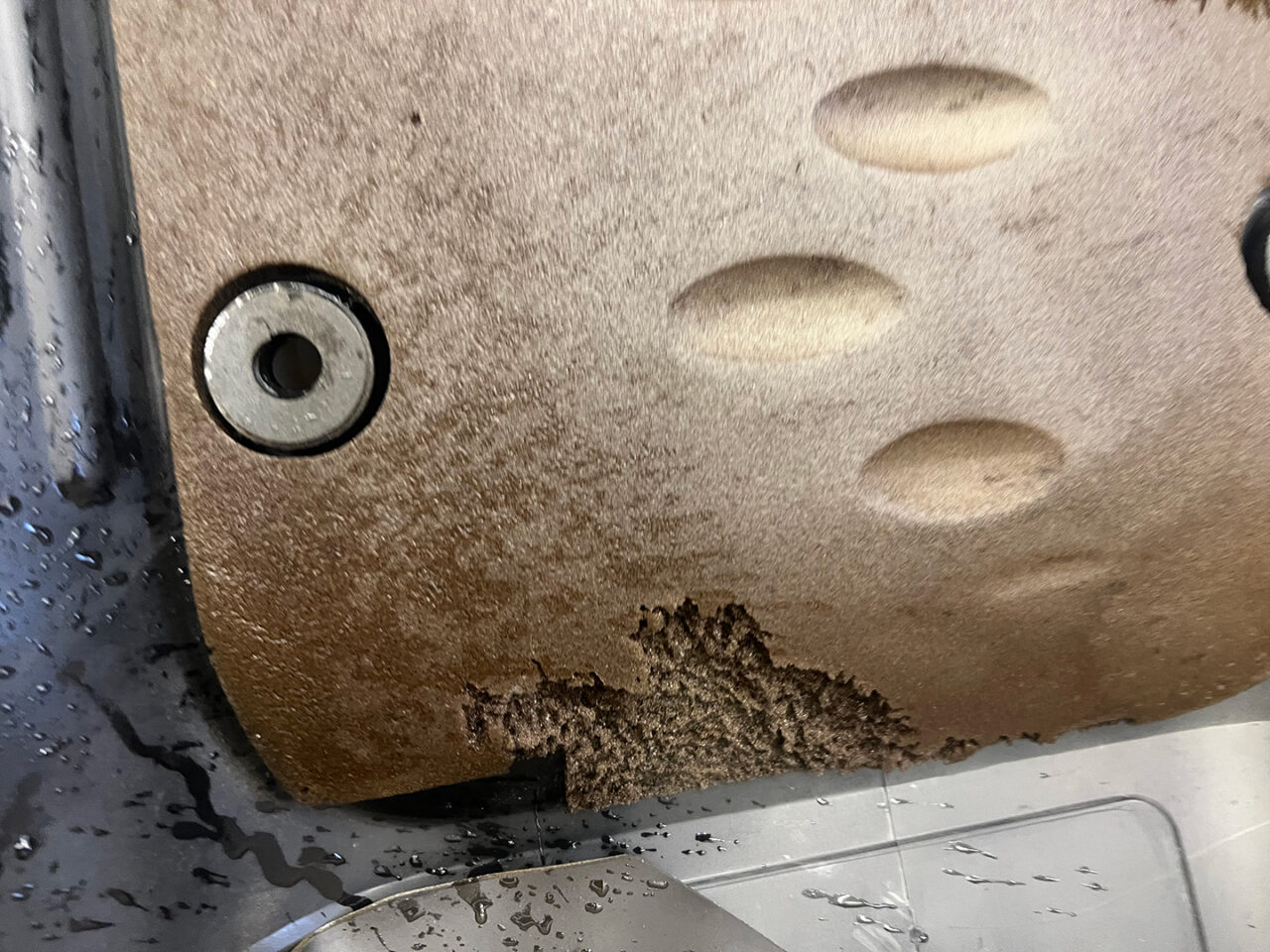 auto-detailing-mouse-damage-01