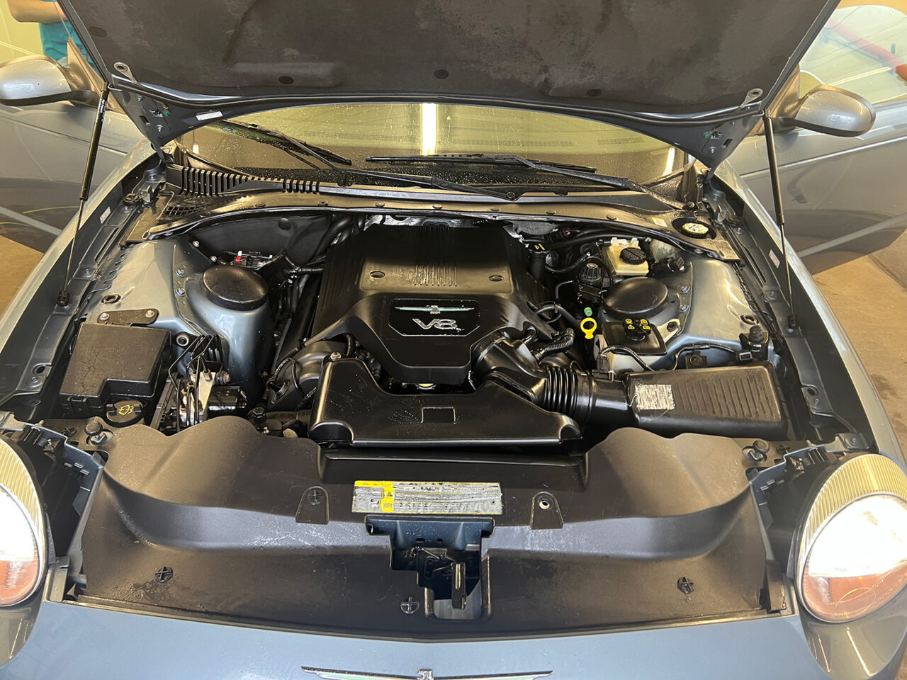 auto-detailing-mouse-damage-04